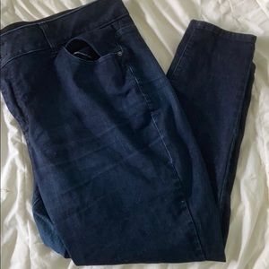 Lane Bryant Venezia Dark Jeans/Jeggings